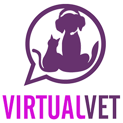 Virtualvet